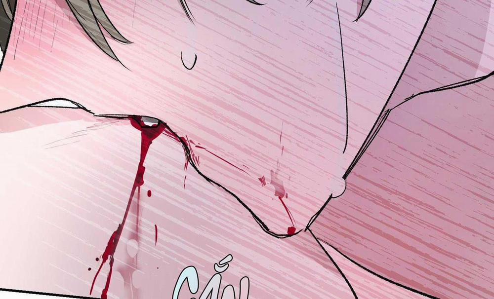 Người Hướng Dẫn Giải Quyết Vấn đề 4 trang 135