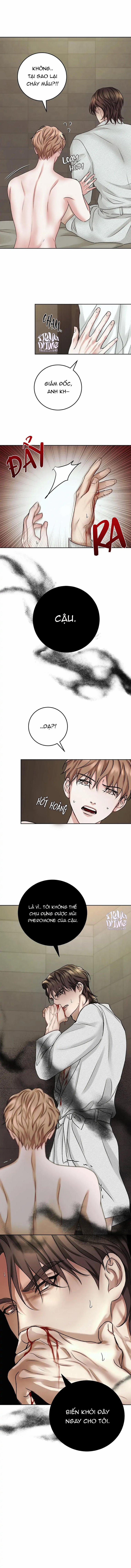 Người Nhà Bất Đắc Dĩ 11 trang 4