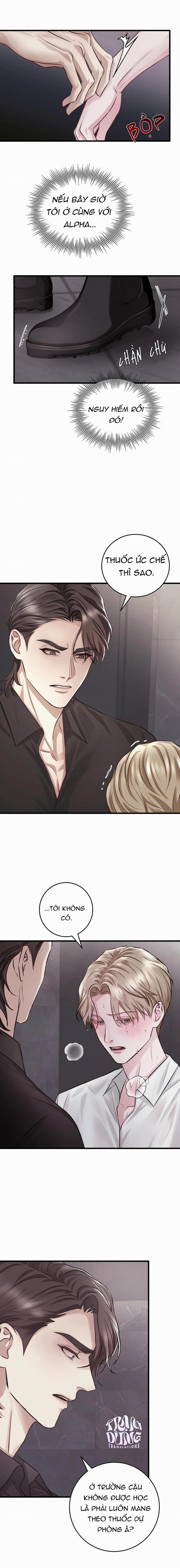 Người Nhà Bất Đắc Dĩ 4 trang 2