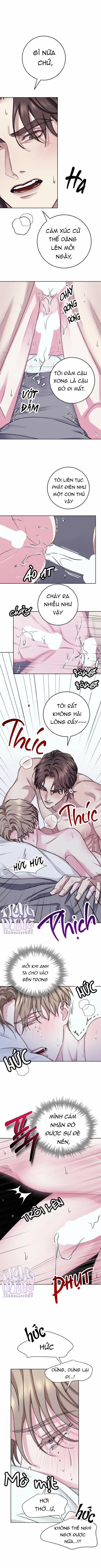 Người Nhà Bất Đắc Dĩ 6 trang 7