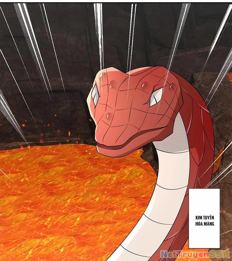 Người Ở Rể Bị Ép Thành Phản Diện 540 trang 11