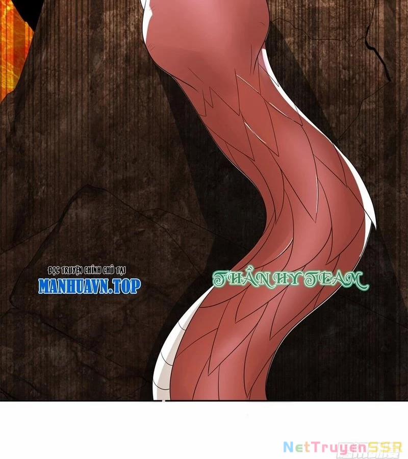 Người Ở Rể Bị Ép Thành Phản Diện 541 trang 1