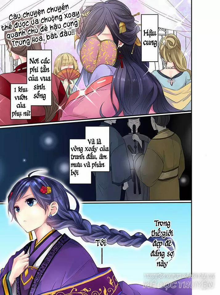 Người Quản Lí Của Hậu Cung Phi 1 trang 0