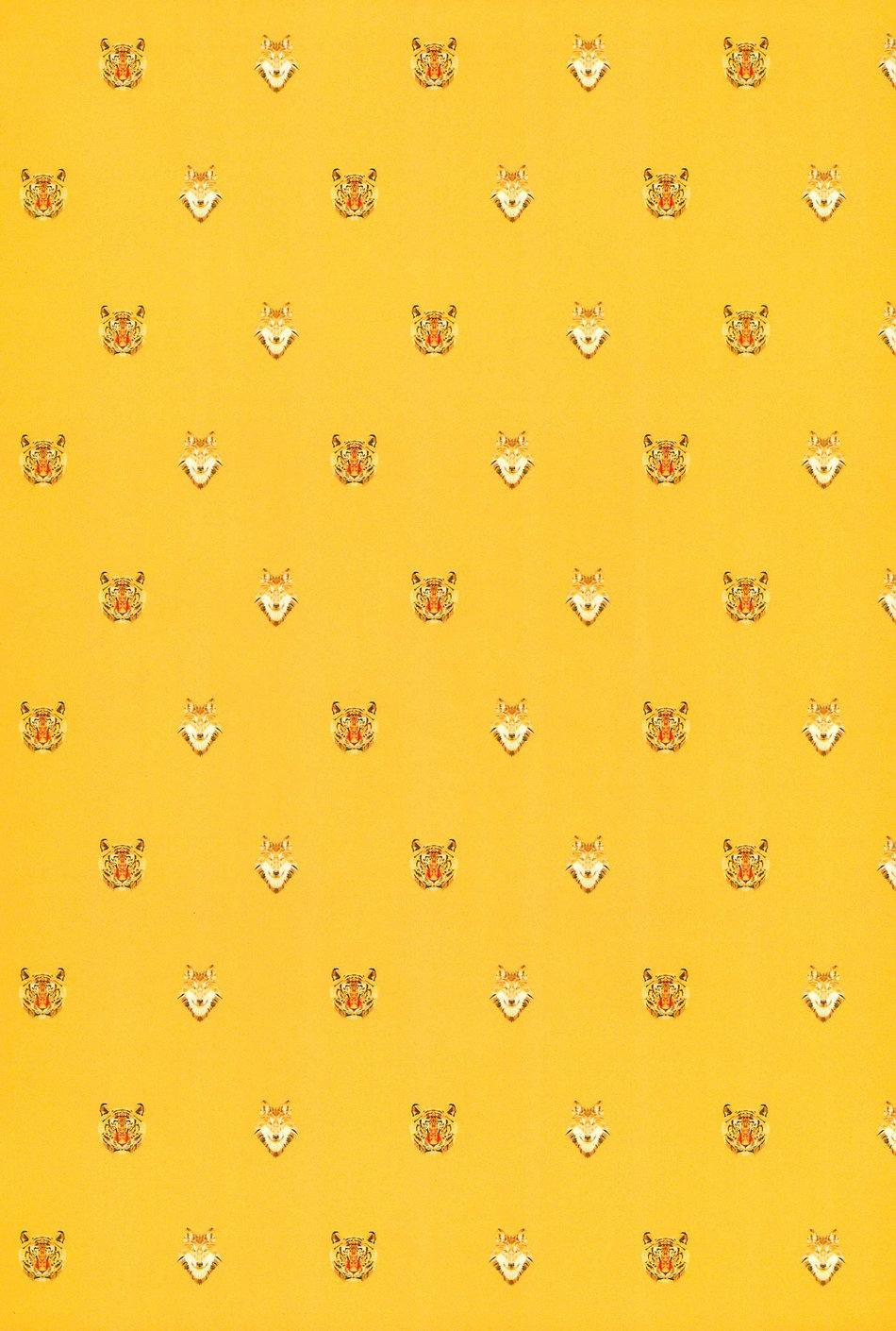 Người Tà Răm Luôn Có Quỷ Theo Sau 44.1 trang 2