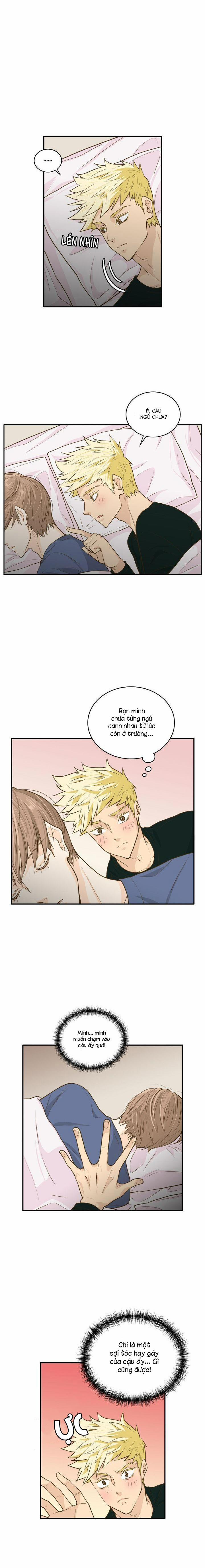 Người Tạo Ra Những Chàng Gay Hoàn Hảo 3 trang 9