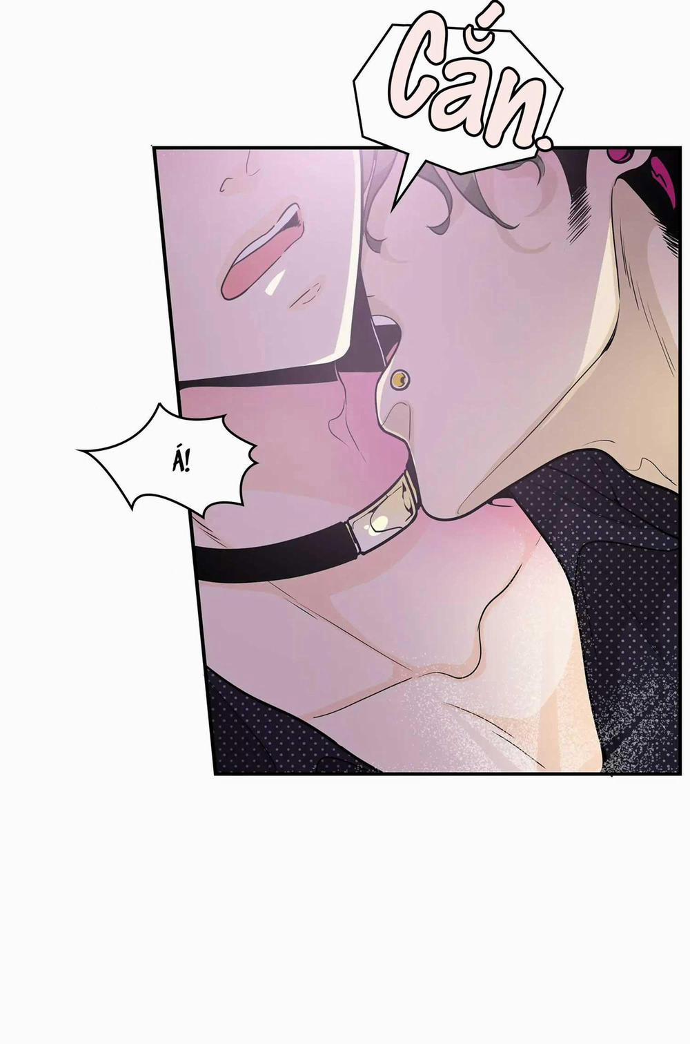 Người Tạo Ra Những Chàng Gay Hoàn Hảo 43 trang 6