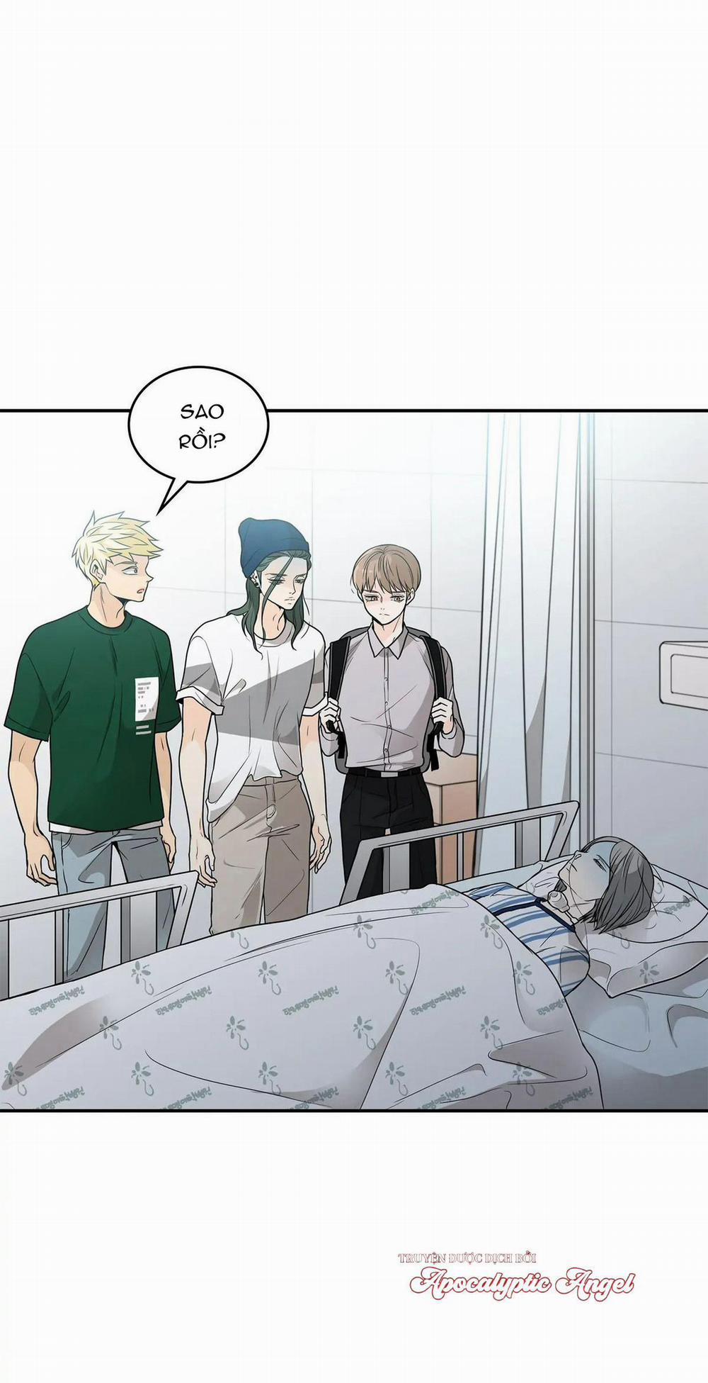 Người Tạo Ra Những Chàng Gay Hoàn Hảo 47 trang 15