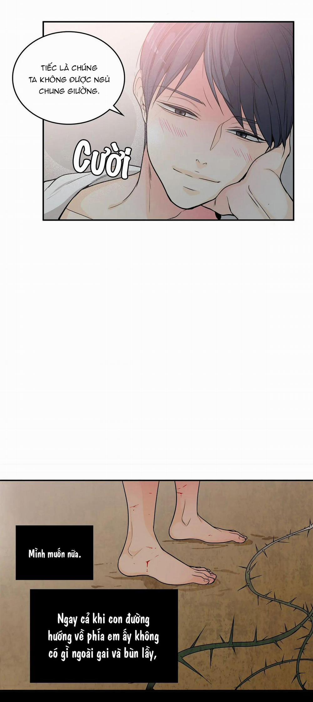 Người Tạo Ra Những Chàng Gay Hoàn Hảo 48 trang 33