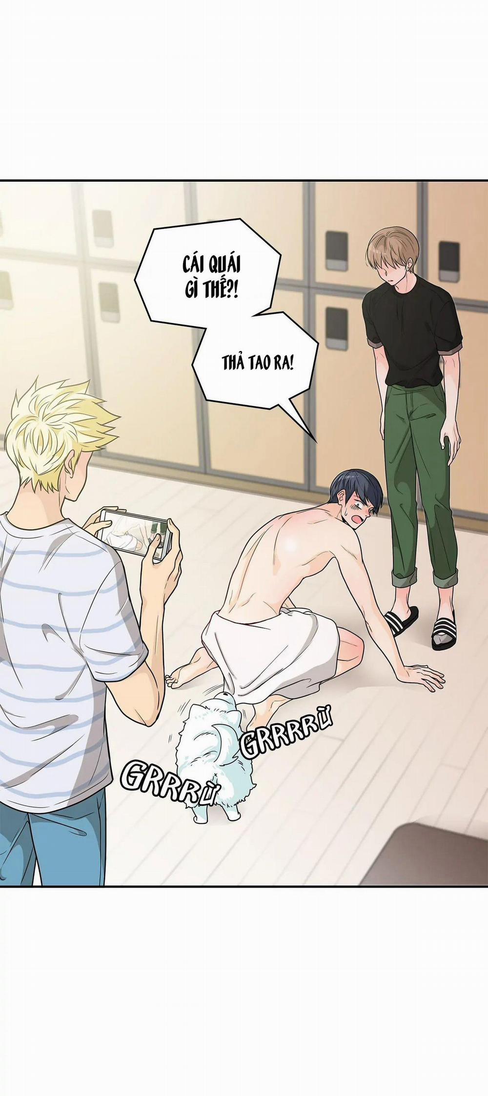 Người Tạo Ra Những Chàng Gay Hoàn Hảo 49 trang 33