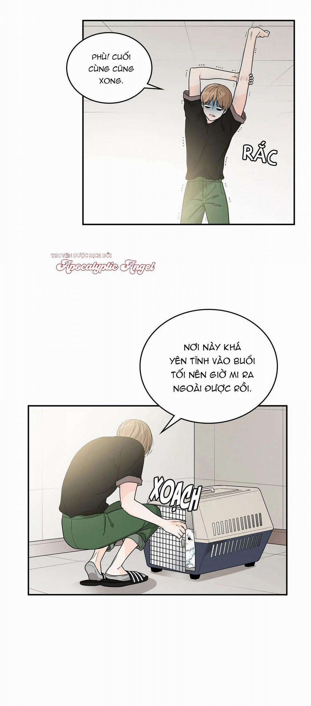 Người Tạo Ra Những Chàng Gay Hoàn Hảo 49 trang 7