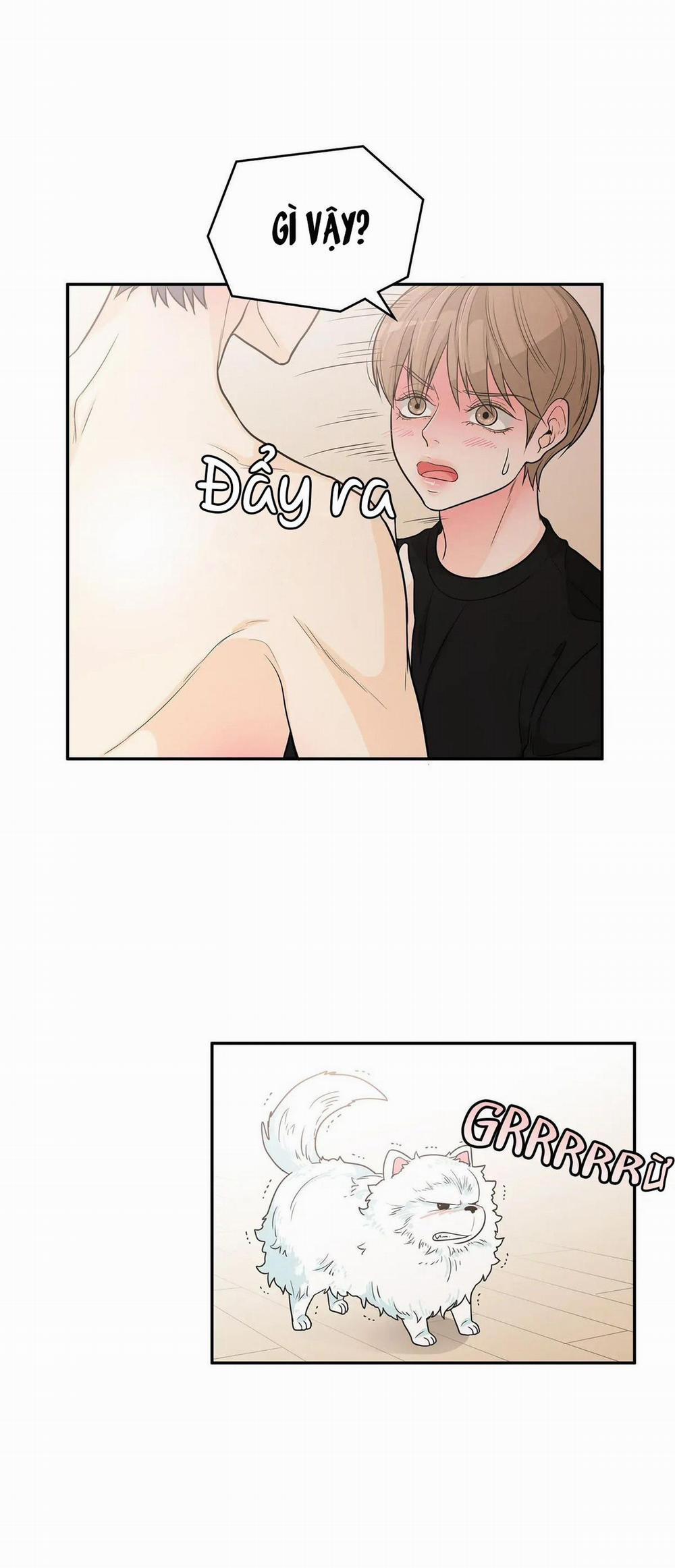 Người Tạo Ra Những Chàng Gay Hoàn Hảo 50 trang 22