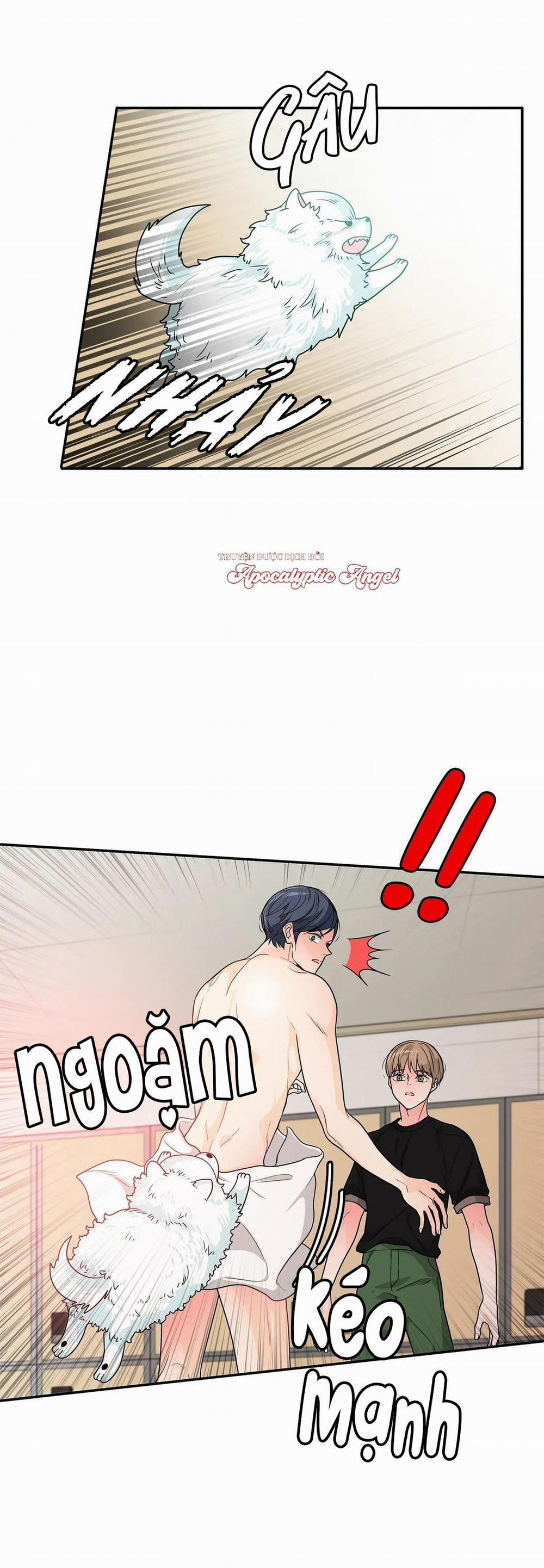 Người Tạo Ra Những Chàng Gay Hoàn Hảo 50 trang 31