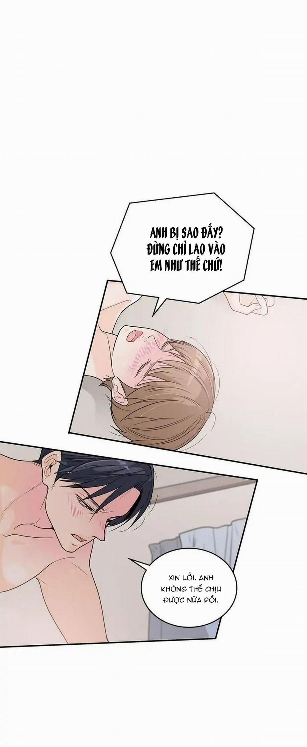 Người Tạo Ra Những Chàng Gay Hoàn Hảo 56 trang 17