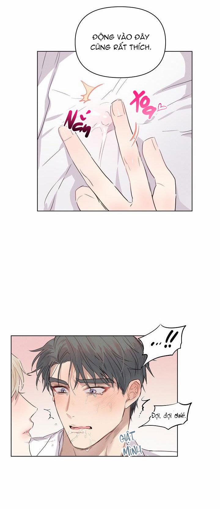 Người Tình Chân Thật 6 trang 15