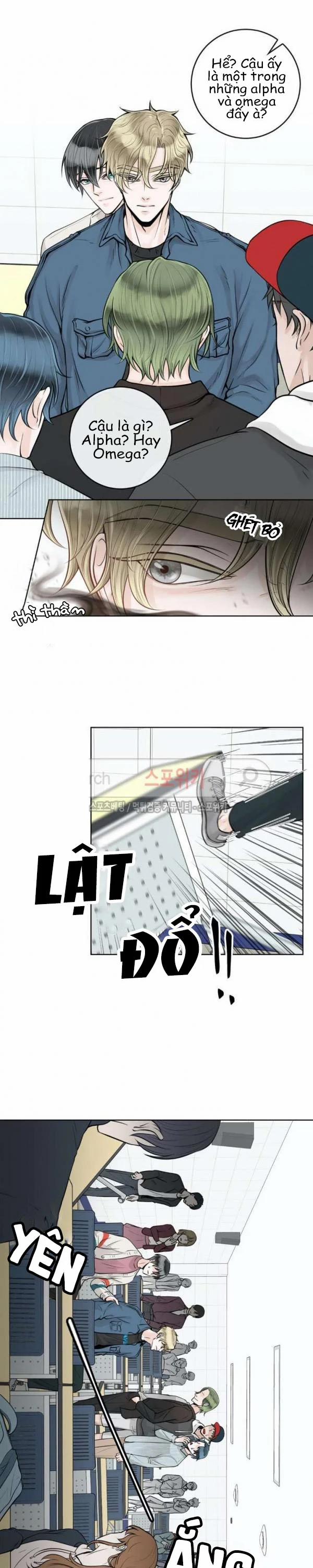 Người Tình Của Alpha 11 trang 4