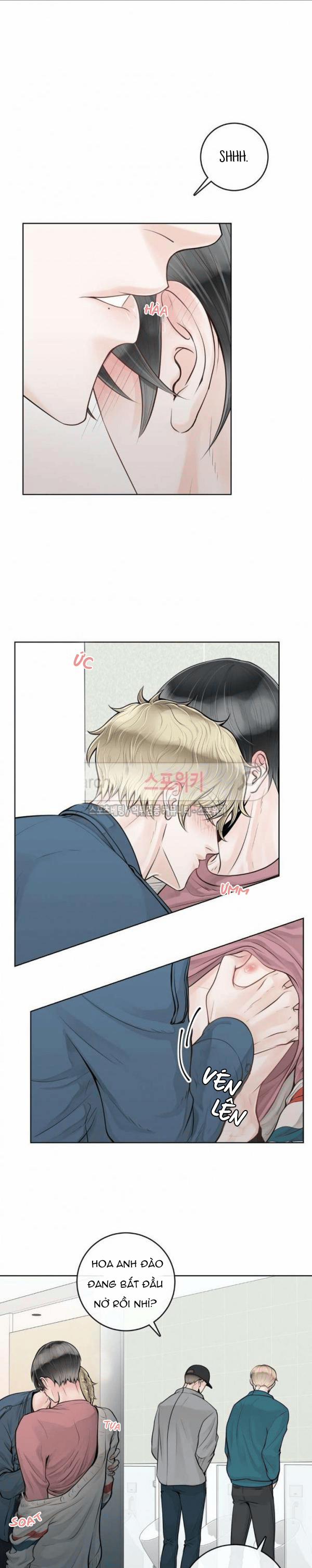 Người Tình Của Alpha 12 trang 0