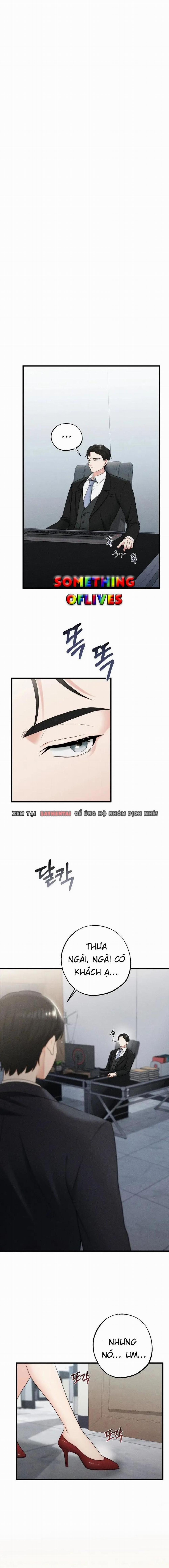 Người Tình Của Em 11 trang 0