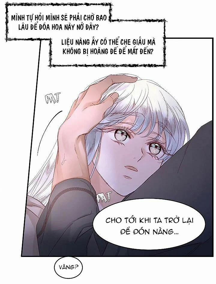 Người Tình Của Hoàng Đế 11 trang 52