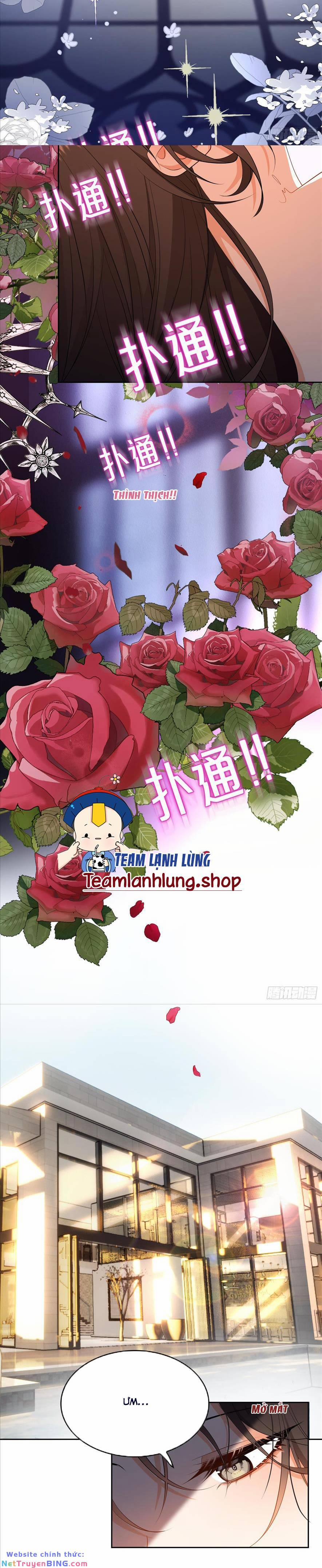 Người Tình Hợp Đồng Của Tổng Tài 3 trang 5