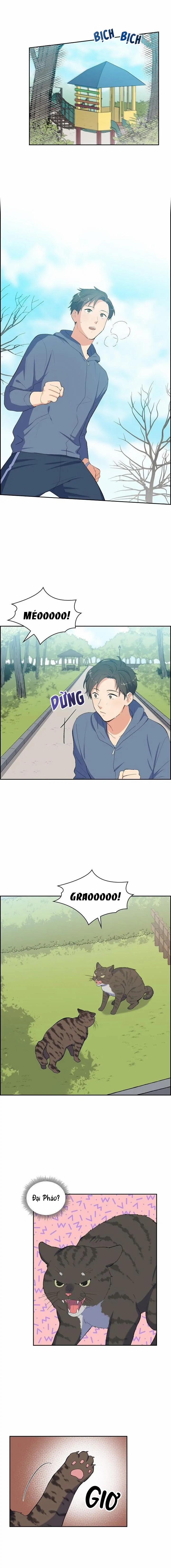 Người Tình, Mèo Và Kẻ Sát Nhân 3 trang 5