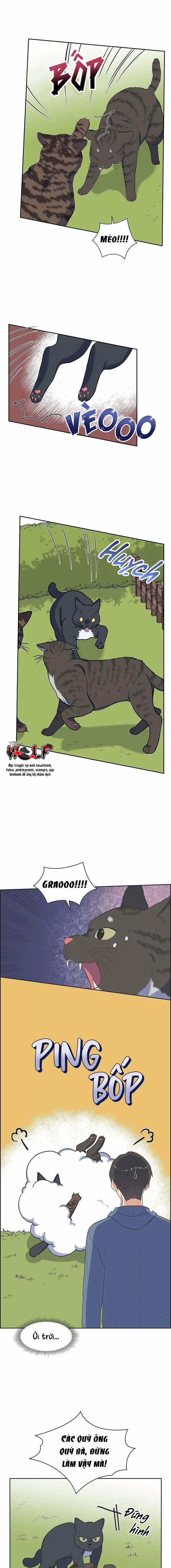 Người Tình, Mèo Và Kẻ Sát Nhân 3 trang 6