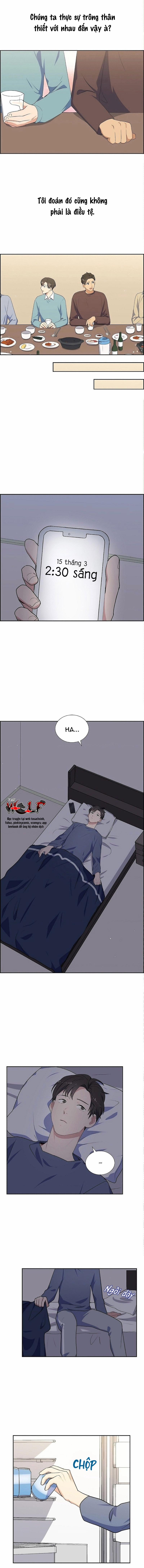 Người Tình, Mèo Và Kẻ Sát Nhân 5 trang 7