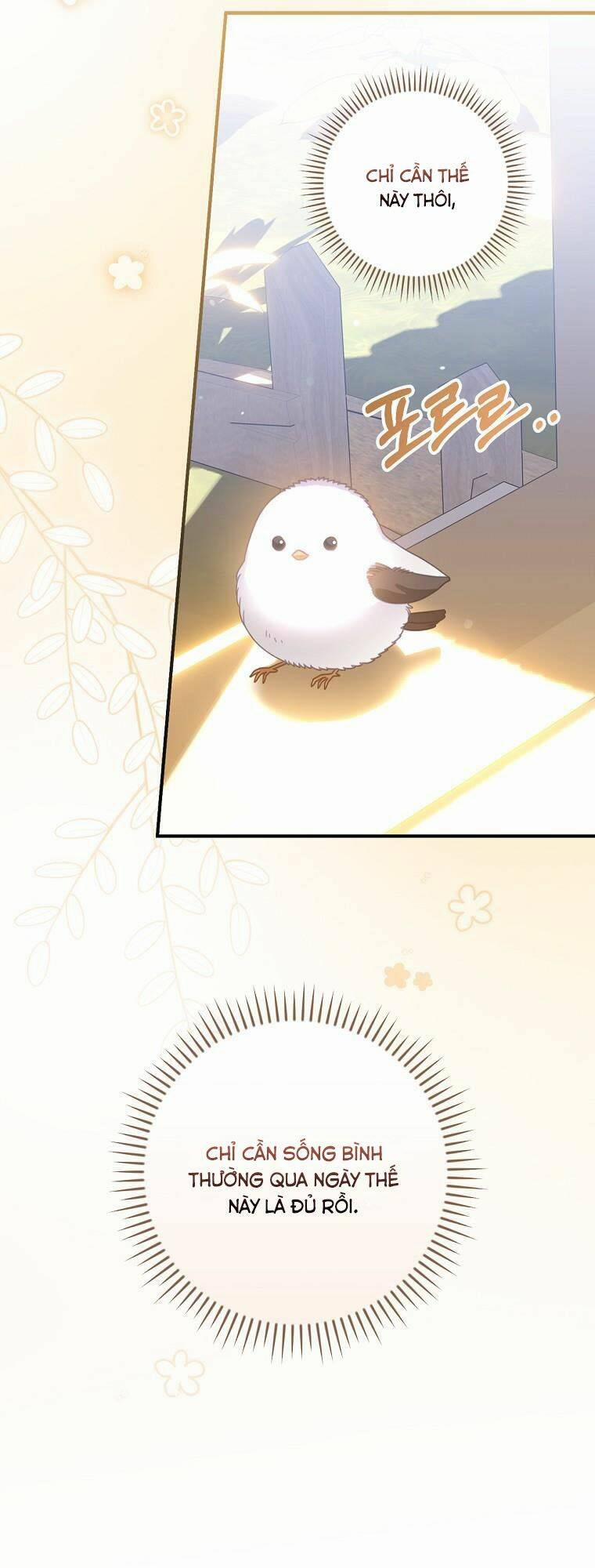 Người Tôi Đã Nuôi Dưỡng Trở Thành Người Đàn Ông Bị Ám Ảnh Về Tôi 12 trang 4