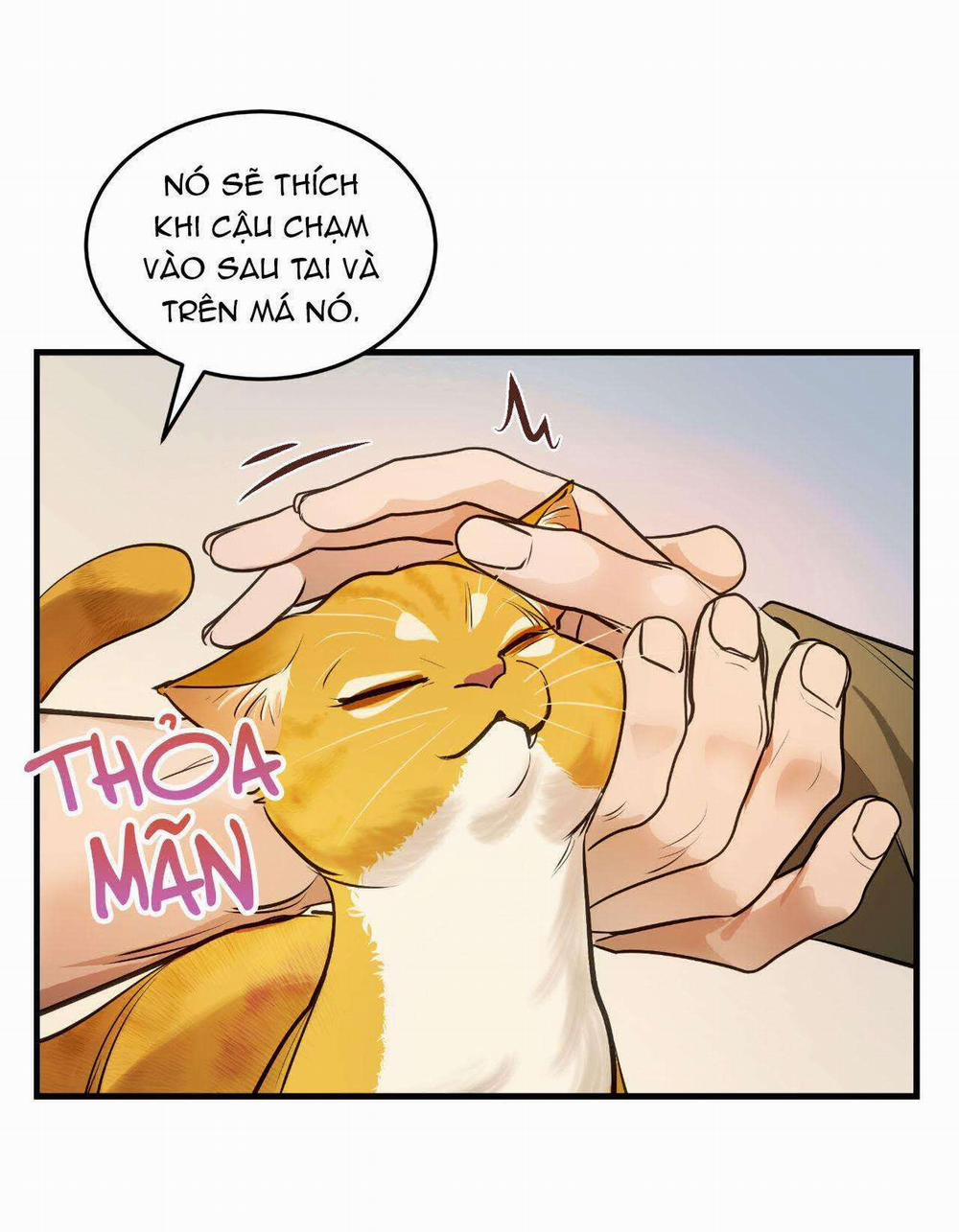 Người Trong Gương 13 trang 35