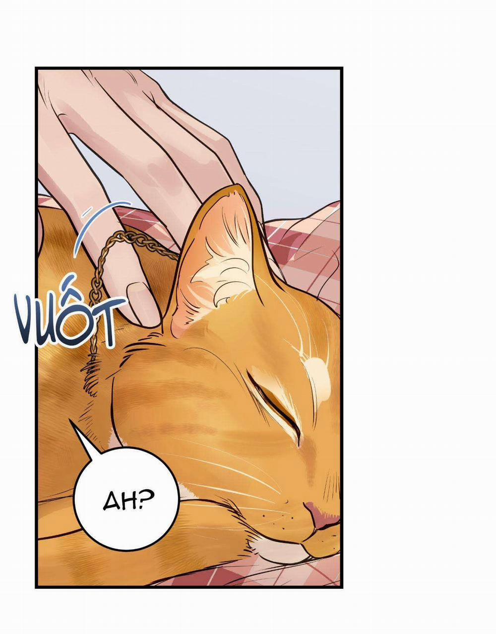 Người Trong Gương 13 trang 56