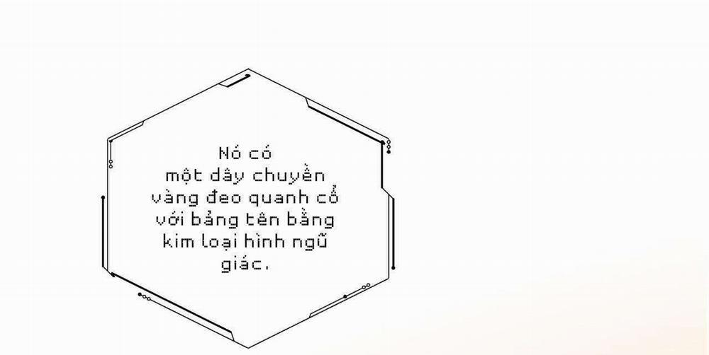 Người Trong Gương 14 trang 97