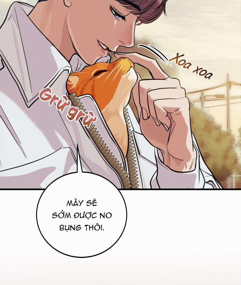 Người Trong Gương 15 trang 9