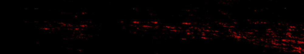 Người Trong Gương 19 trang 41