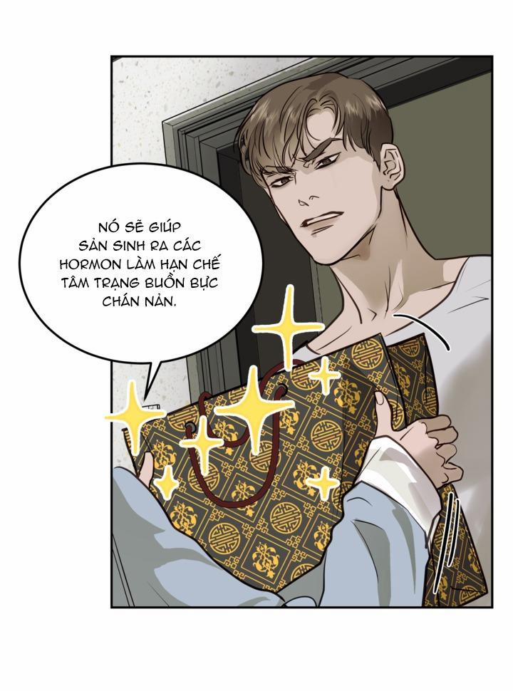 Người Trong Gương 4 trang 44