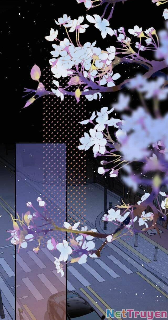 Người Yêu Debussy 7 trang 6