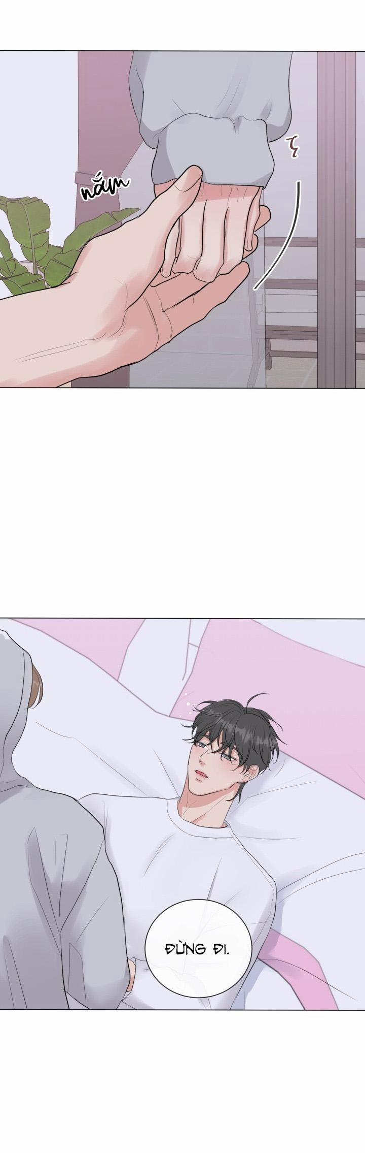 Người Yêu Hiếm Hoi 11 trang 21