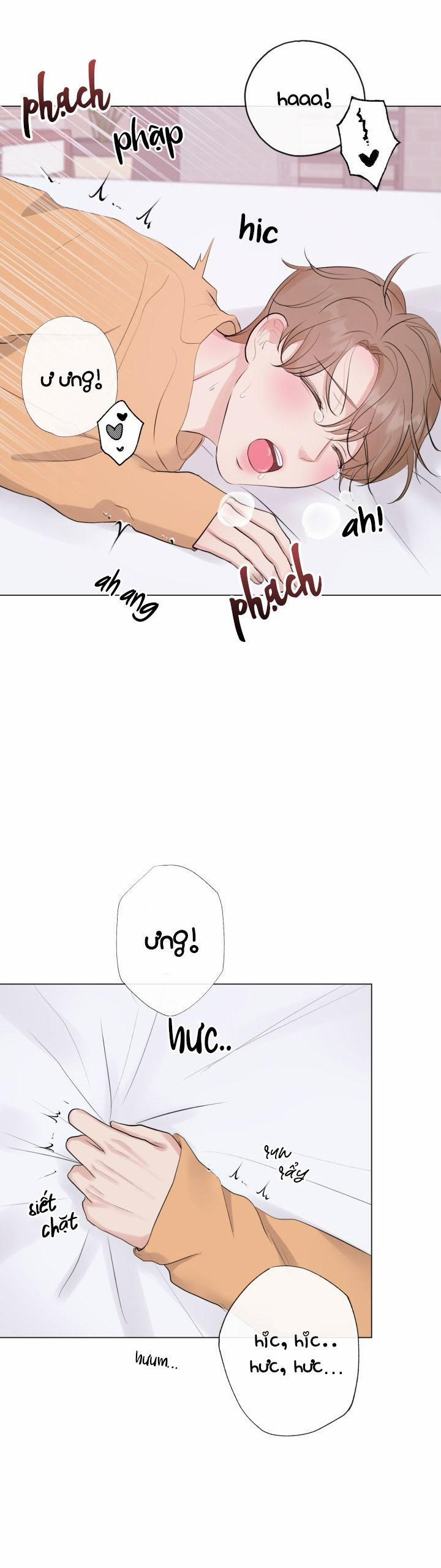 Người Yêu Hiếm Hoi 12 trang 19