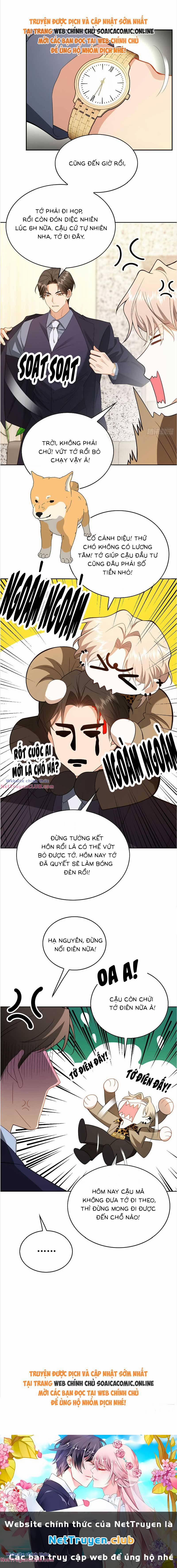 Người Yêu Hợp Đồng Của Chủ Tịch 8.2 trang 4