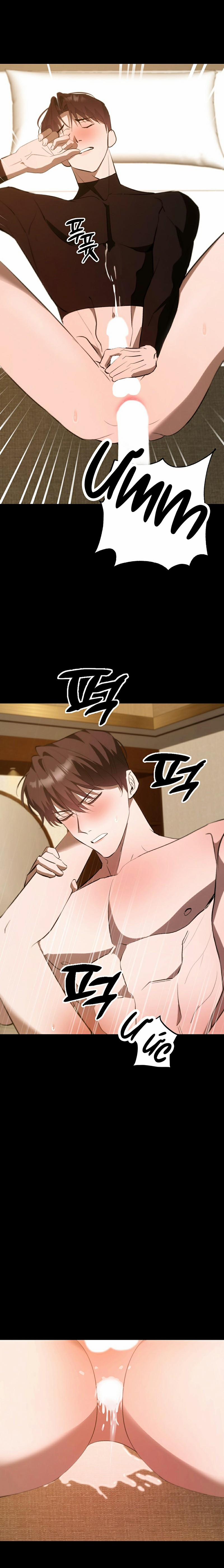 Người Yêu Hợp Pháp Thứ Hai 10 0 End trang 13