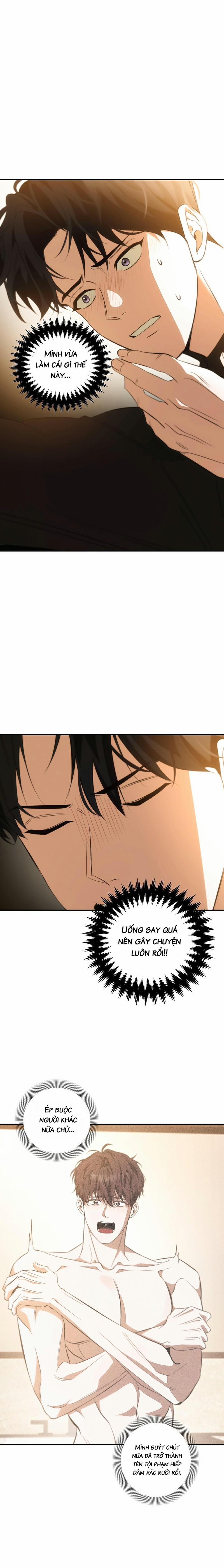 Người Yêu Hợp Pháp Thứ Hai 2 trang 19