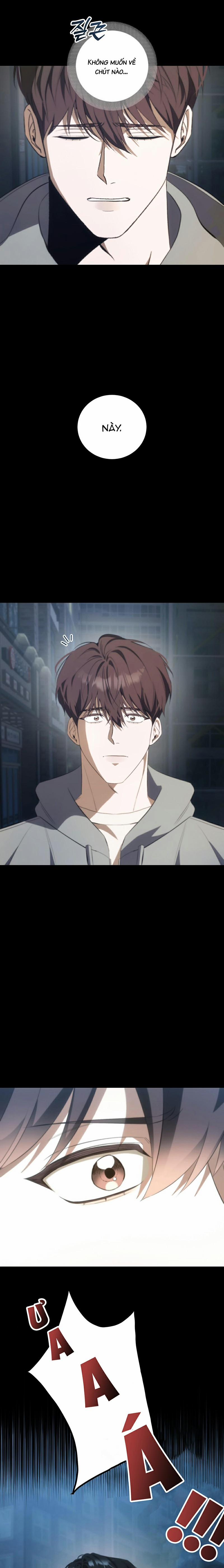 Người Yêu Hợp Pháp Thứ Hai 3 trang 25