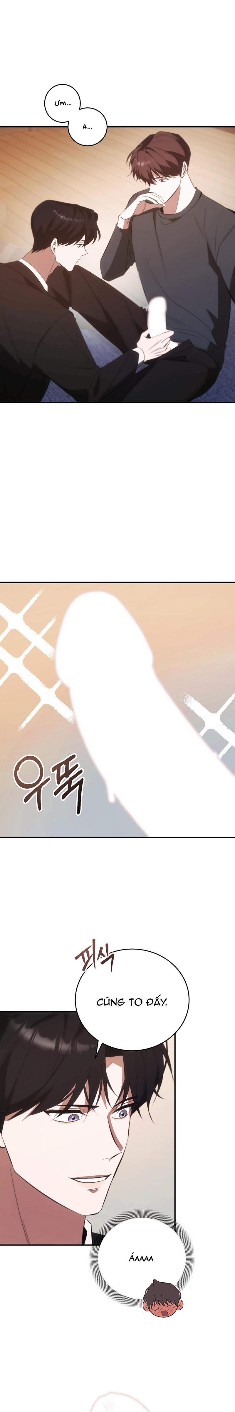 Người Yêu Hợp Pháp Thứ Hai 6 trang 16