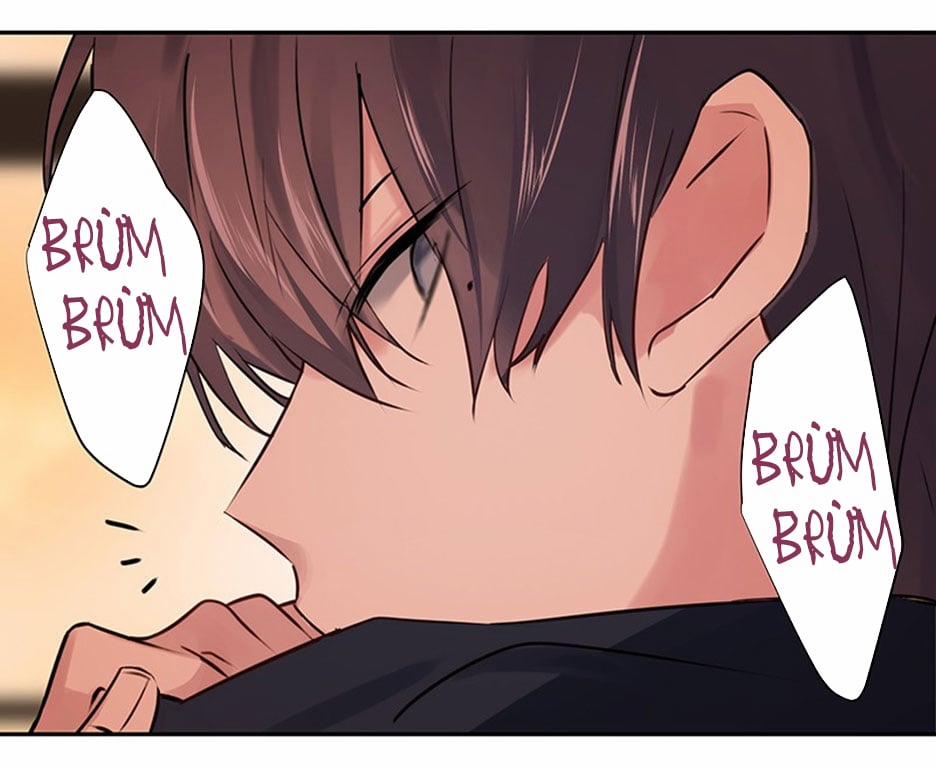 Ngụy Trang Học Tra 6 trang 8