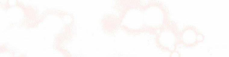 Nguyện Là Thanh Kiếm Trung Thành Bảo Vệ Em 26.5 trang 278