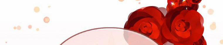 Nguyện Là Thanh Kiếm Trung Thành Bảo Vệ Em 27 trang 295