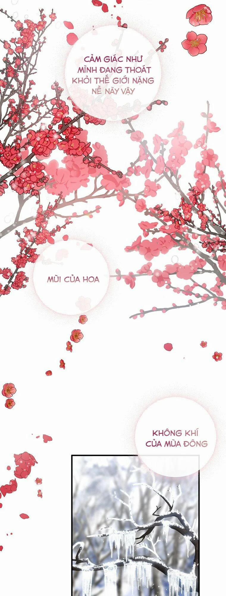 Nguyện Trở Thành Thanh Kiếm Trung Thành Bảo Vệ Em 22 trang 35