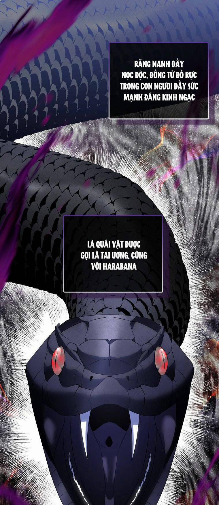 Nguyện Trở Thành Thanh Kiếm Trung Thành Bảo Vệ Em 60 trang 15