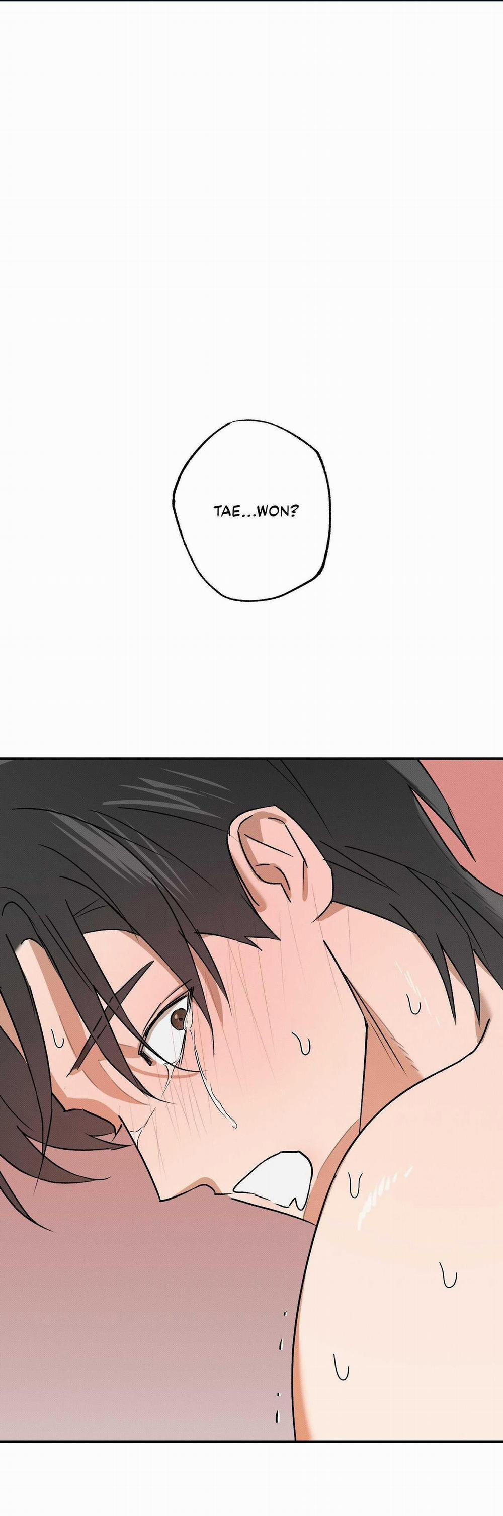 Nguyệt Ẩn Dạ Đàm 12 trang 0