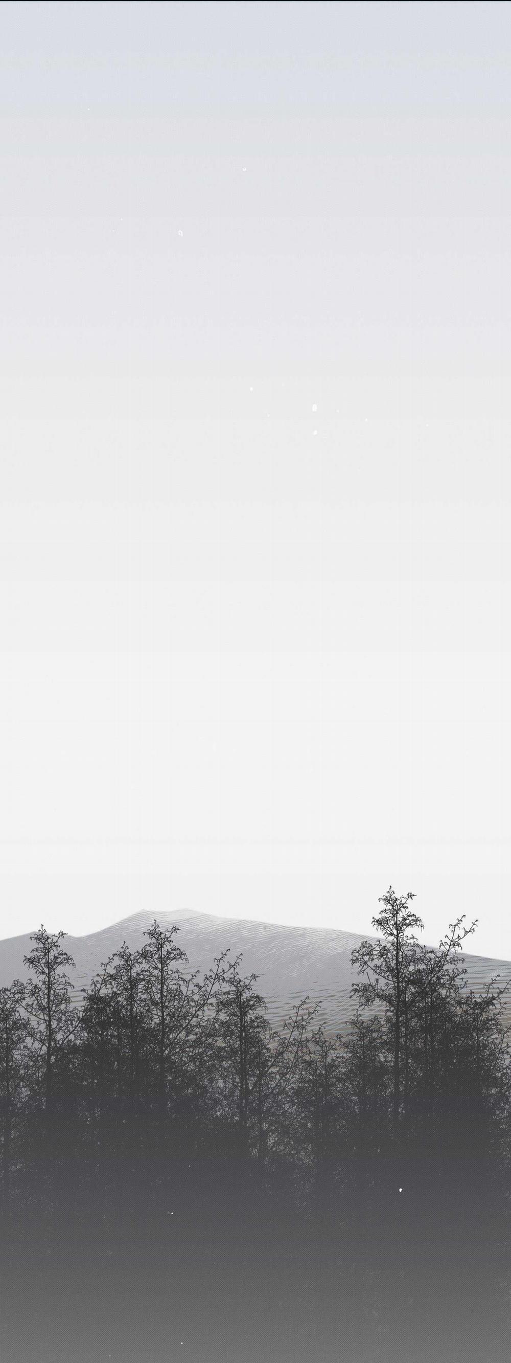 Nguyệt Ẩn Dạ Đàm 15 trang 0