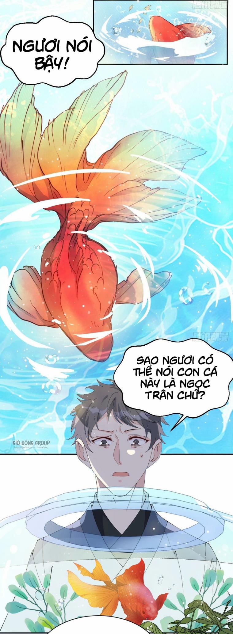 Nguyệt Lão Không Hiểu Tình Yêu 8 trang 3