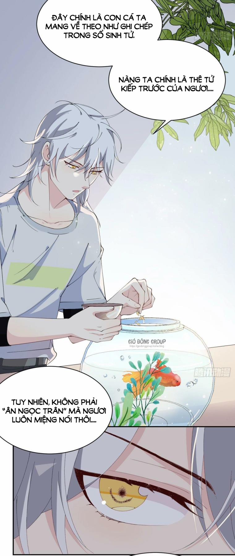 Nguyệt Lão Không Hiểu Tình Yêu 8 trang 4